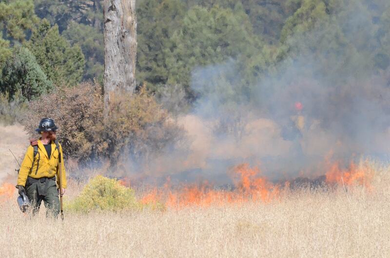 A firefighter on the Green Base prescribed fire, Kaibab National Forest, near Williams, Arizona, 2017